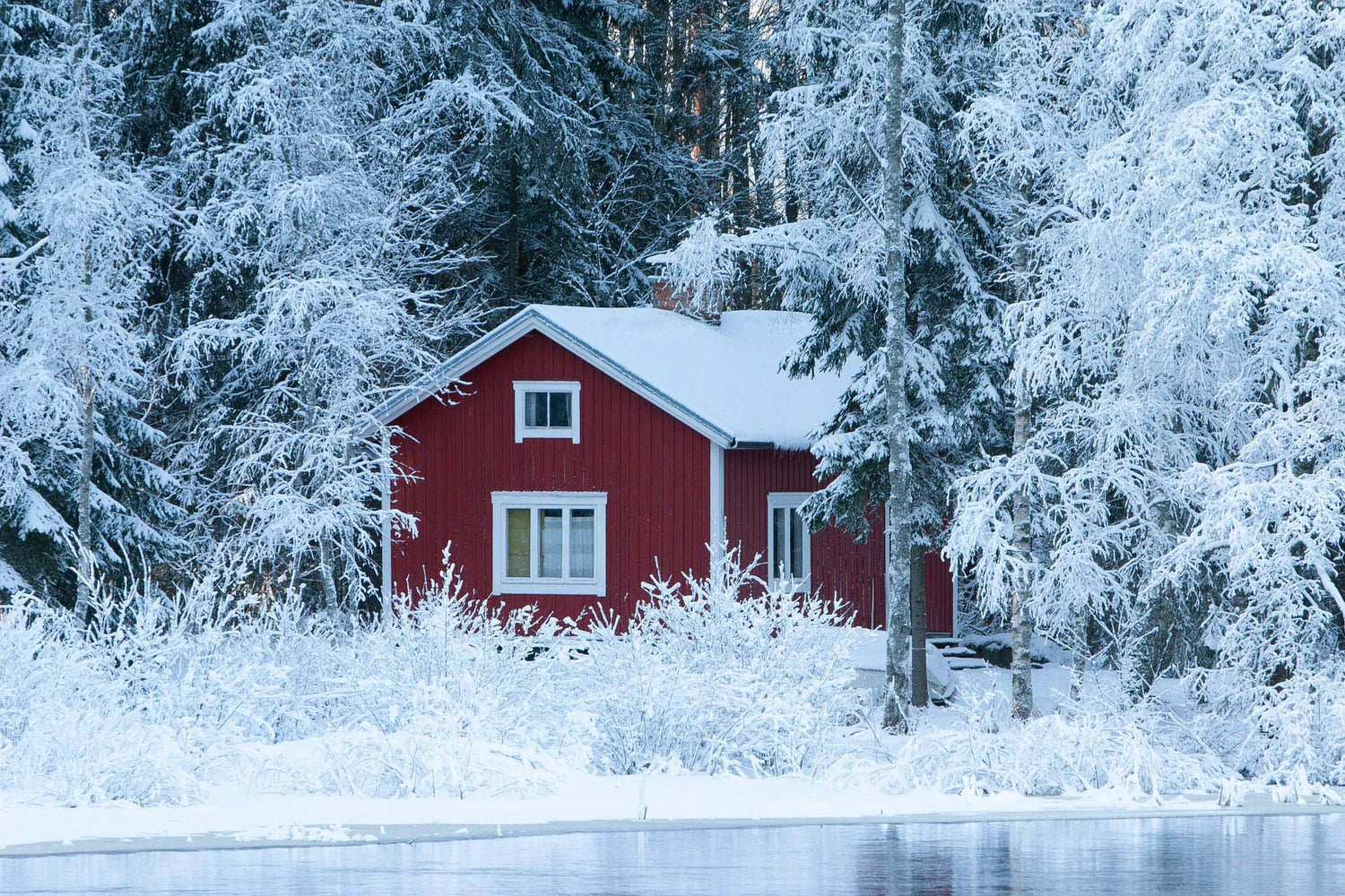 Red cabin in a snowy forest with trees covered in snow.