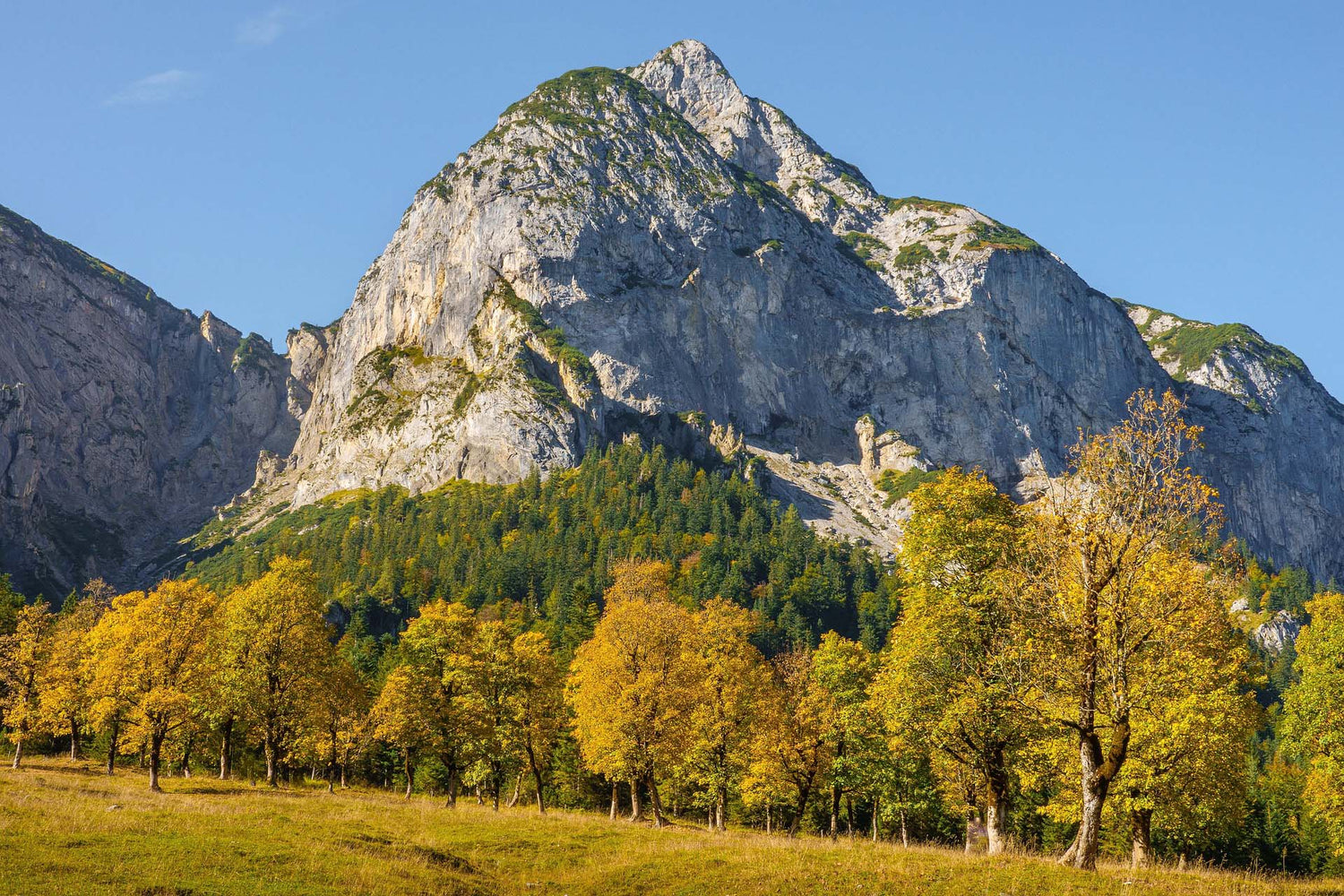 Mountain landscape with trees in autumn colors and a clear blue sky.